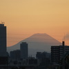 西日を受ける都内から見える秋の富士山