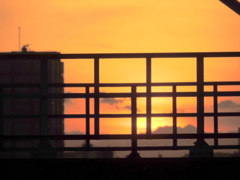 荒川の河原の鉄塔の基部の鉄柵の夕日