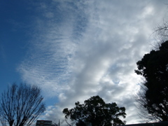 積雲の風景
