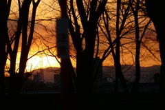 山の見える公園の森の夕景