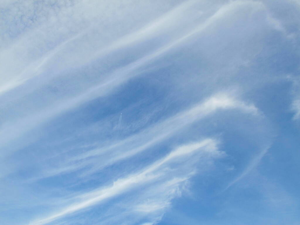 鉤状雲