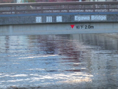 目黒川の荏川橋