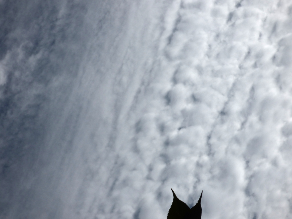 これ雲