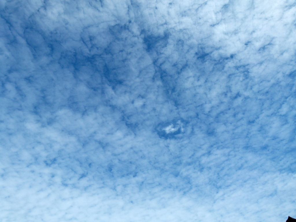 謎の雲