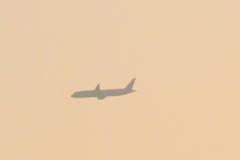 黄砂の空を飛ぶJAL機