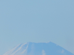 ’22元日の昼間の富士山