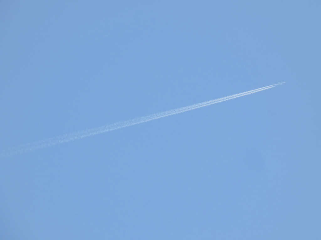 荒川土手の１条のジェット雲