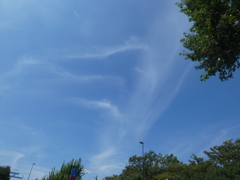 夏の巻雲かぎ状雲