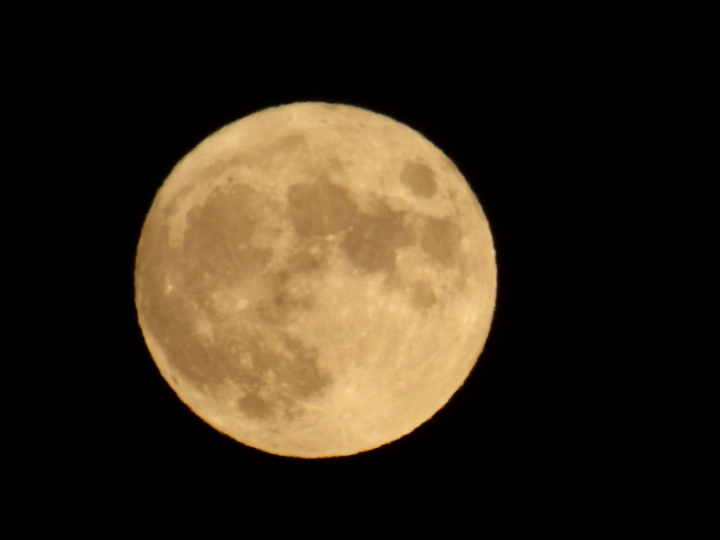 月下美人ならぬ、月上婦人に見える中秋の月