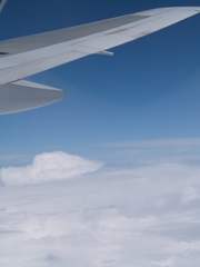 機上からの雲海１