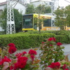 黄色い都電荒川線