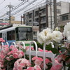 都電荒川線とばら