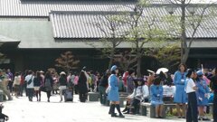 丁度、名古屋城は春祭り