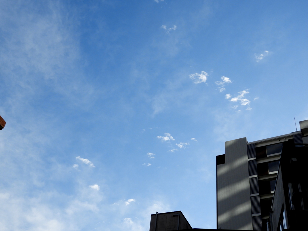 千住関屋の東武スカイツリー高架土手のビルの上の空