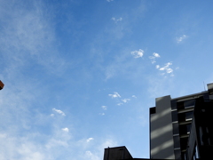 千住関屋の東武スカイツリー高架土手のビルの上の空