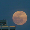 隅田川の夕日の反対側から雲被る満月