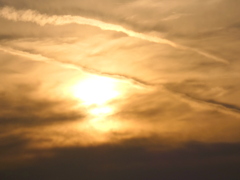 西新井橋の飛行機雲付き夕日