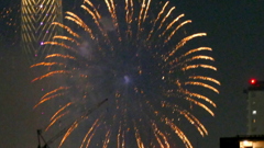'２５隅田川花火１９