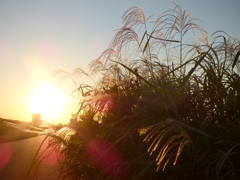 そろそろ日の入り一日が短い