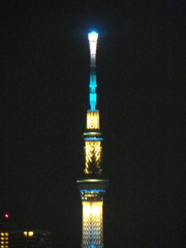 荒川土手の東京スカイツリー