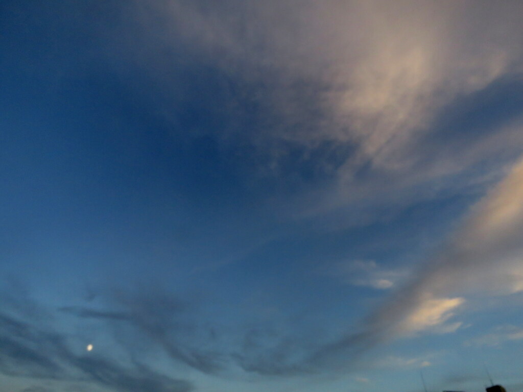 隅田川上空