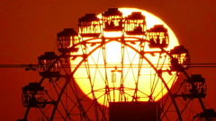 扇大橋から荒川観覧車の後ろの大きな夕日