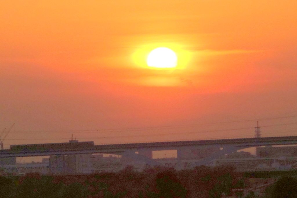 荒川の舎人ライナーの高架上の金衣を被った夕日