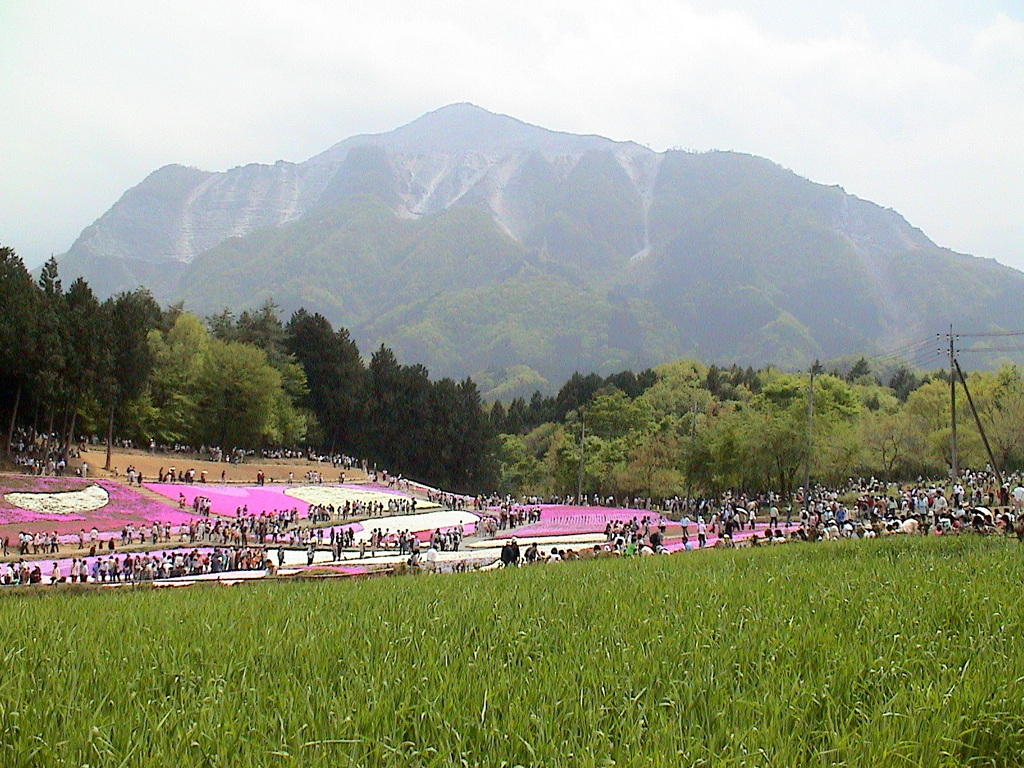 初期のデジカメで撮った秩父武甲山