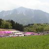 初期のデジカメで撮った秩父武甲山