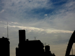 千住桜木ワンドから細い長い雲