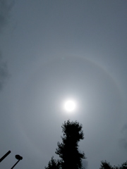 千住のイチョウ稲荷の上のアーク（内傘）