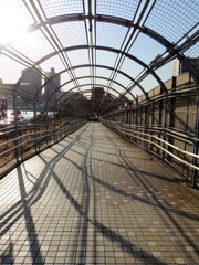 荒川自然公園の下り坂