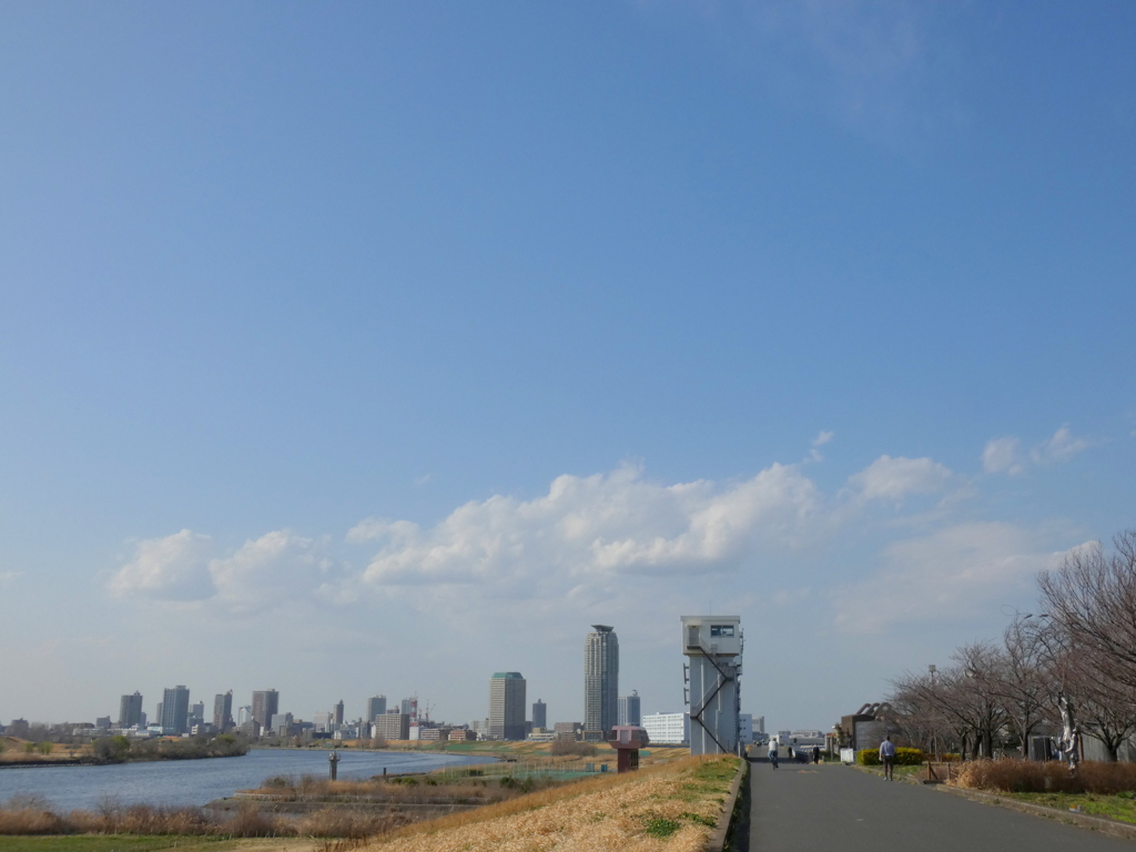 都市農業公園の荒川土手から赤羽ー川口エルザ