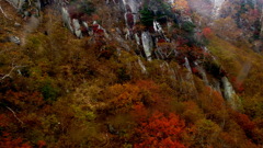 ロープーウエイからの崖の紅葉の風景