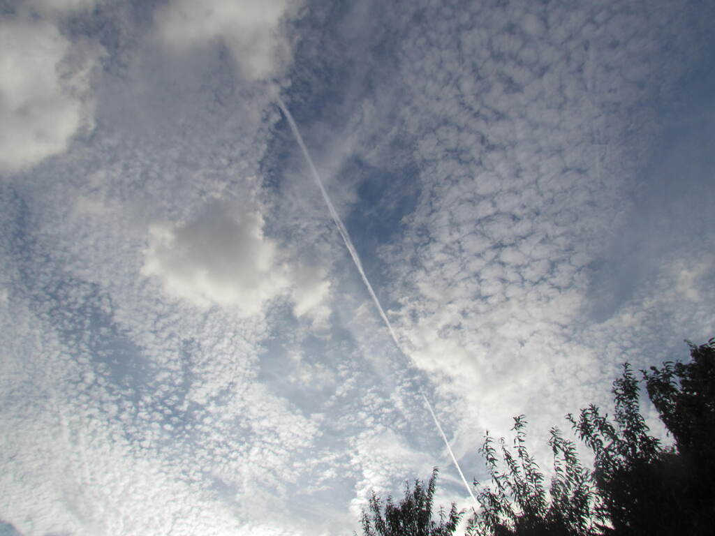 巻積雲に飛行機雲