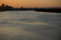 夕方の荒川の潮目の風景