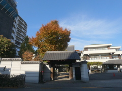 三ノ輪の浄閑寺