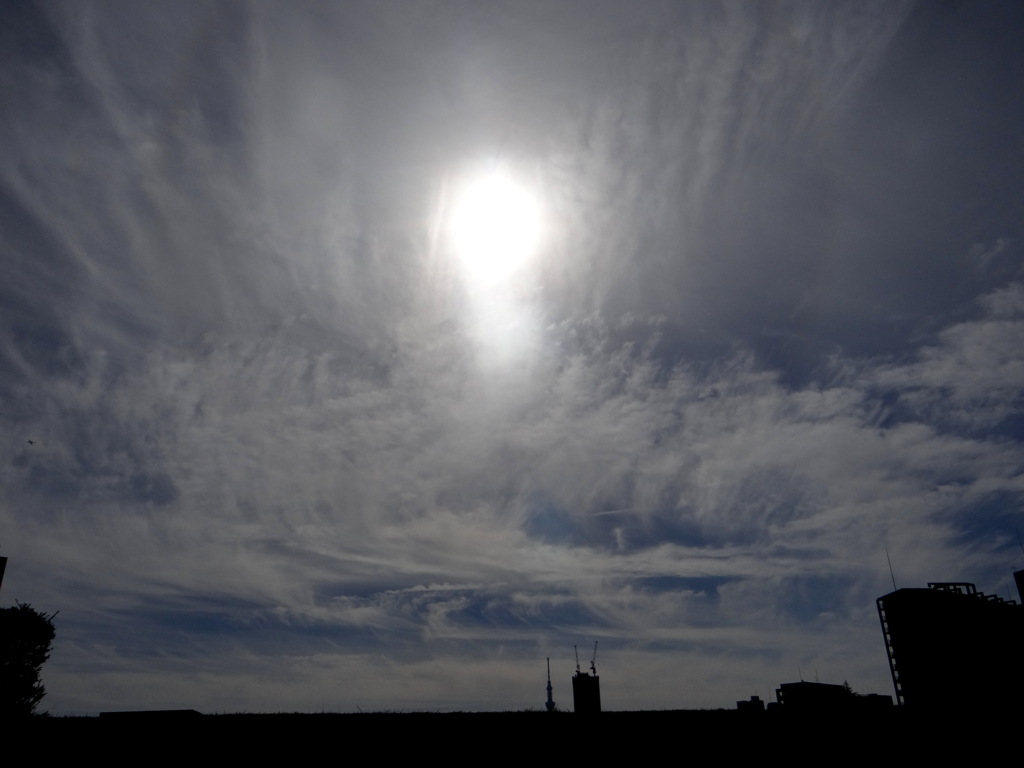 スカイツリー上空