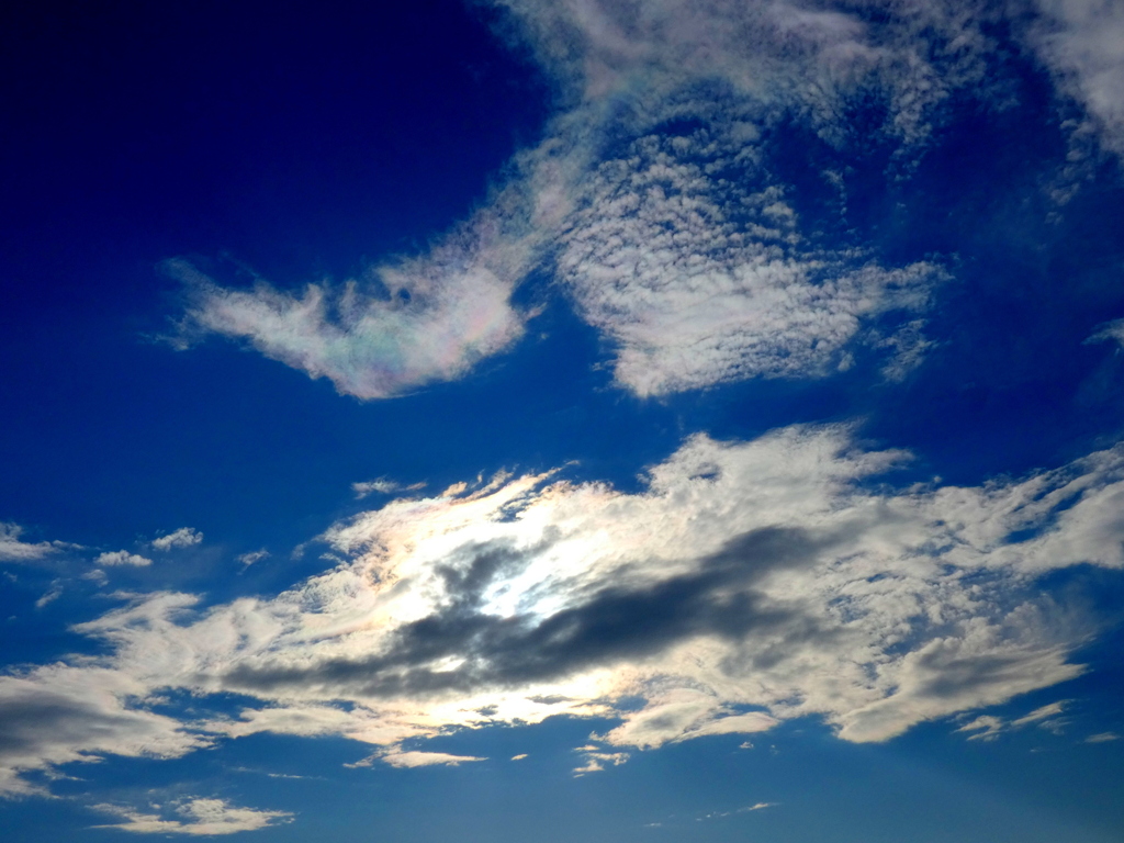 暮れの荒川高架側土手の積雲周辺の彩雲