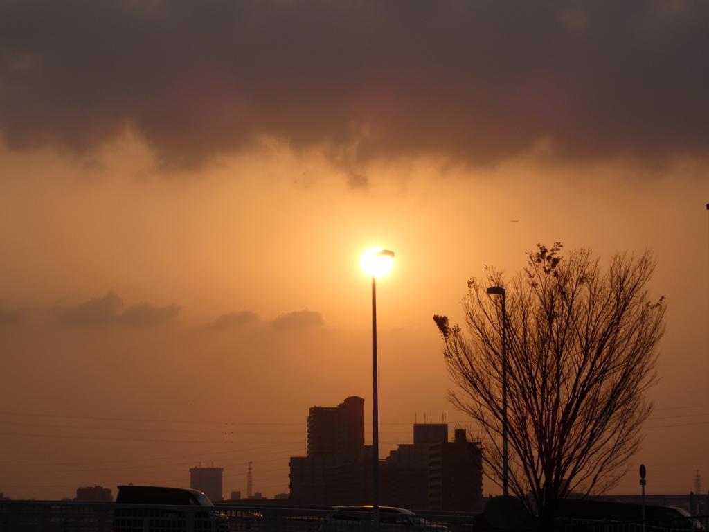 尾竹橋の街灯の夕日