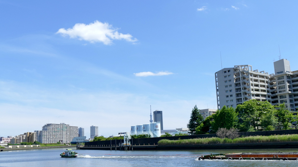 初夏の隅田川