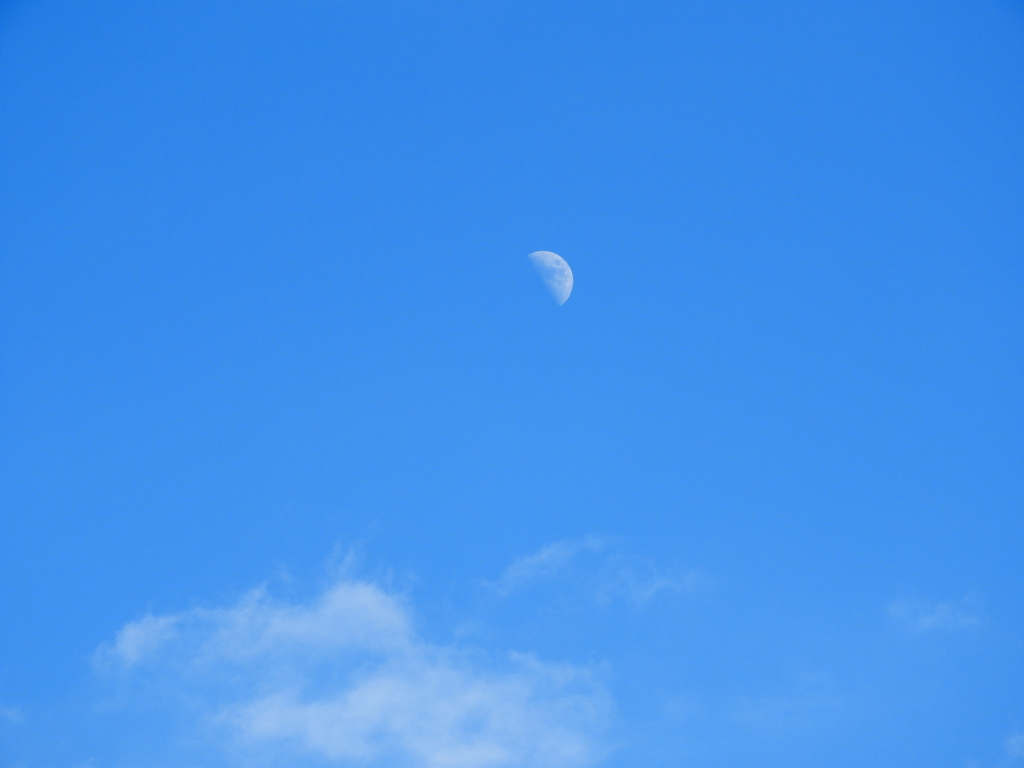太陽の反対に上弦の月が