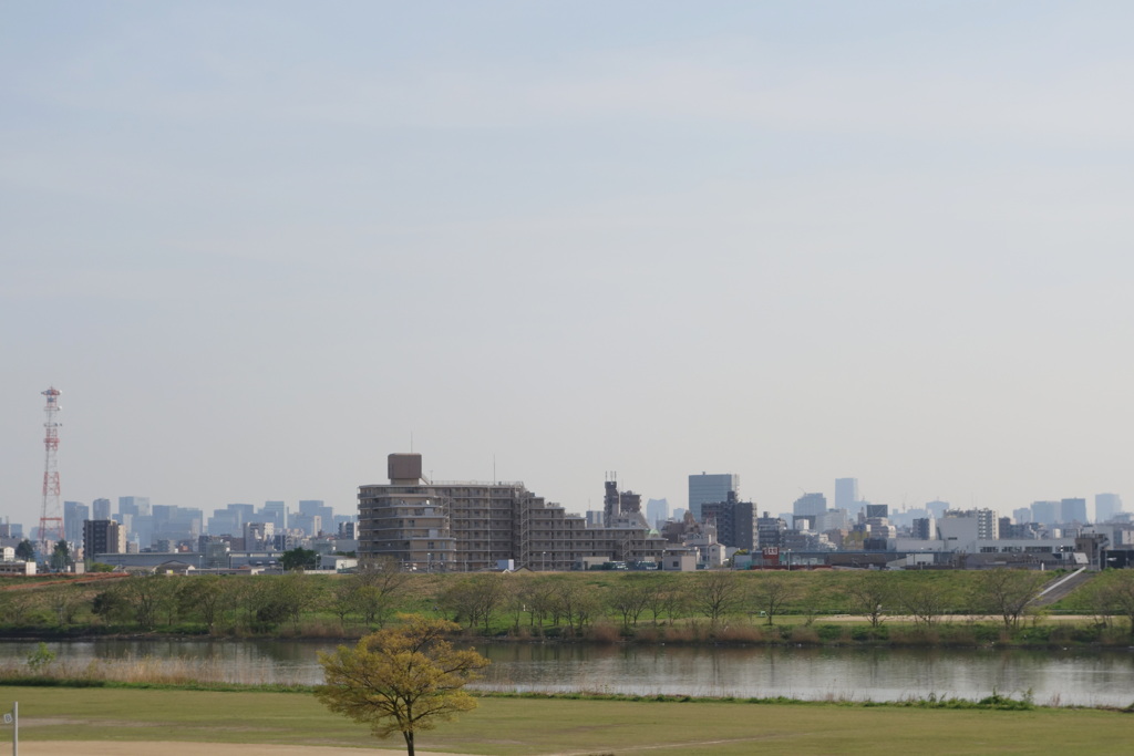 荒川堤から霞む都心のタワービル群