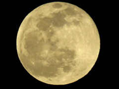 ’23.04.06.の月齢15.4の満月