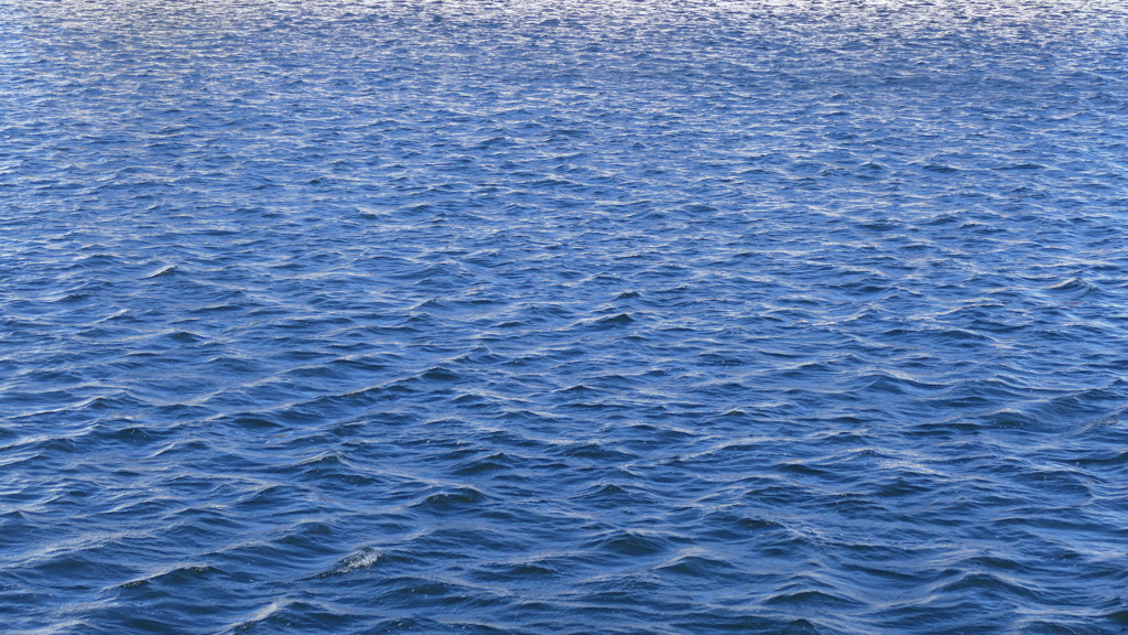 すみだがわぶるー