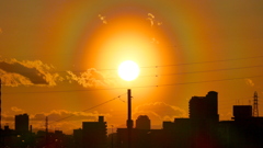 荒川土手が珍しい現象に