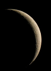 ’23.4.23.18:47.の4K連写の一枚