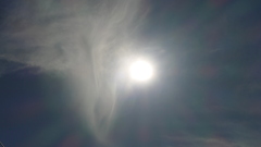 日中の太陽