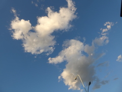 ある日のワタ雲