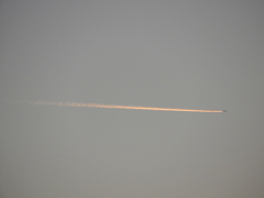 千住新橋から見えた南の低い空の赤い飛行機雲